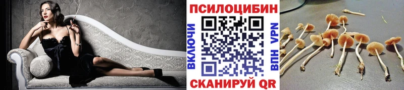 МЕГА сайт  Белореченск  Псилоцибиновые грибы прущие грибы 
